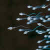 Improve reproductive health 