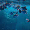 Painting of Fish in Flowing Water 