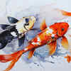 Koi Fish Painting