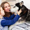 They are very loyal to their family