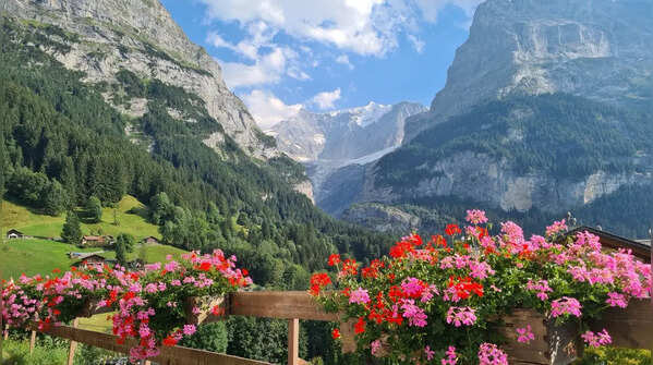 Switzerland: The Calm Professional