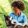 Very friendly and social nature