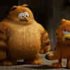 ‘Garfield’