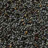 Poppy seeds and legal restrictions