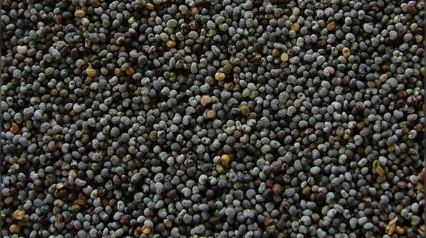 Poppy seeds and legal restrictions