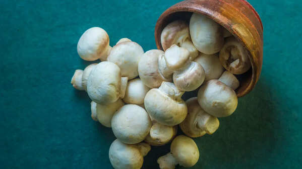 Mushroom