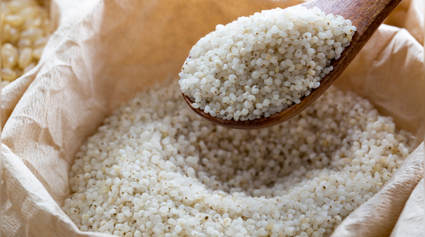 Barnyard millet (samak rice)