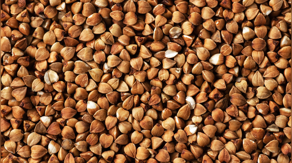 Buckwheat (kuttu)