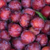 Plums
