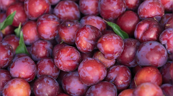 Plums