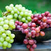 Grapes