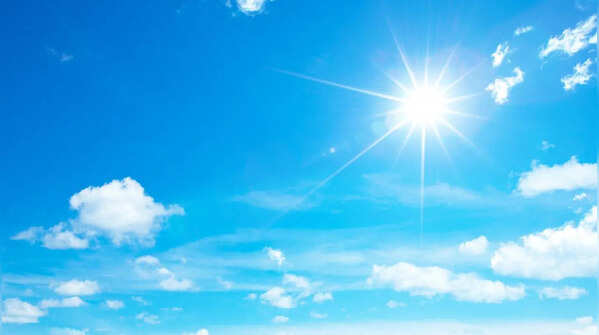 Choose a sunny location