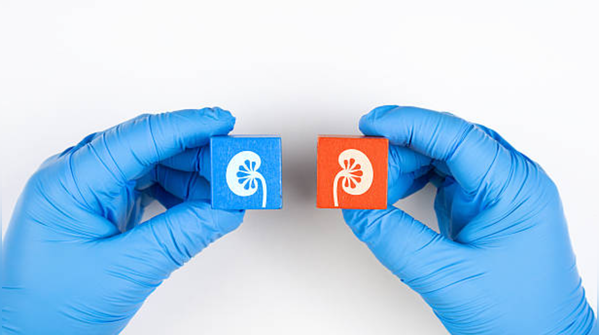 Did you know that kidney diseases can be avoided if you pay attention to your daily habits?