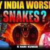 Article image for: Why Does India Worship Snakes? The Shocking Truth Revealed | K <i class="tbold">Hari</i> Kumar
