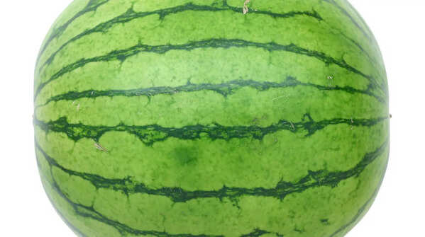 Check the shape