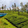 Article image for: Sri Lanka — E-visa (ETA)