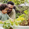 Gardening