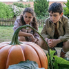 Article image for: Dominic McLaughlin’s on-screen profile