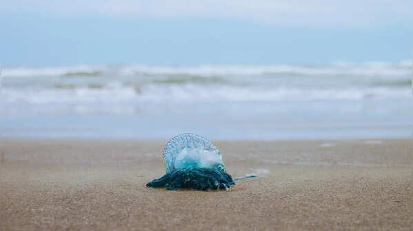 Pensacola Beach and Destin in Florida and Gulf of Mexico