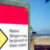 Cairns and Port Douglas Beaches in Queensland, Australia