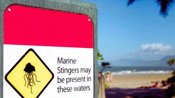 Cairns and Port Douglas Beaches in Queensland, Australia
