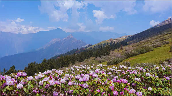 Chopta in Uttarakhand