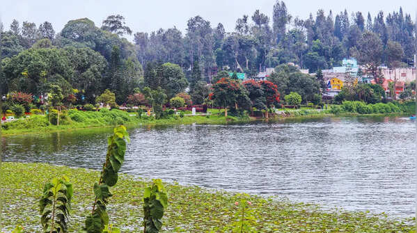 Yercaud in Tamil Nadu