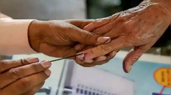 <strong>Polling date — single phase voting</strong>