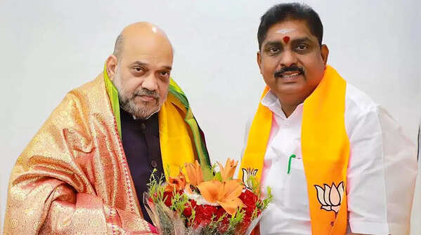 BJP bets on key leaders