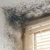 Damp walls or bathrooms