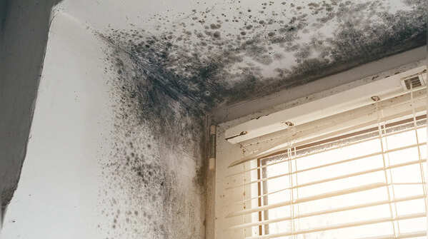 Damp walls or bathrooms