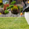 Avoid chemical pesticides