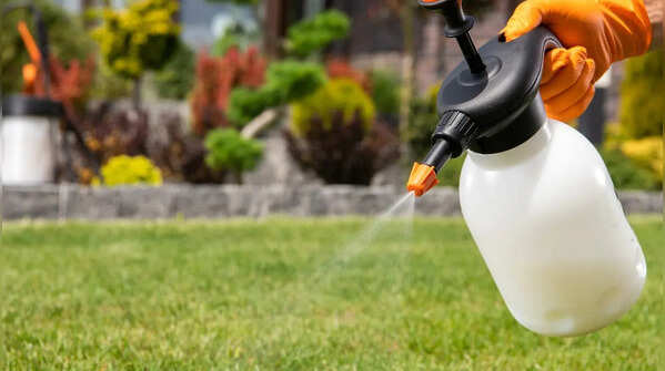 Avoid chemical pesticides