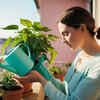 Provide fresh water sources