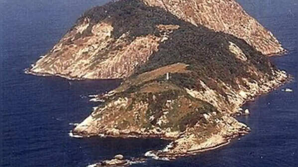 Ilha da Queimada Grande, São Paulo, Brazil