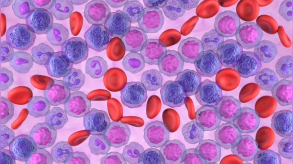 The cancer that learns to hide