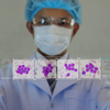 Article image for: So where does this leave us?