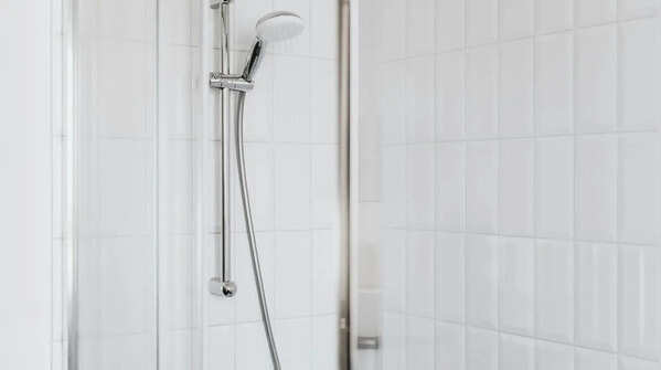 Shower head