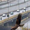 Closed tolling system implemented on the corridor