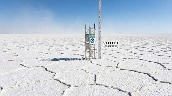 Salt of the Earth