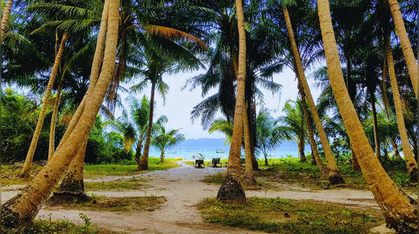 Havelock Island (Swaraj Dweep) in India