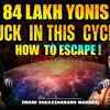 Article image for: 84 Lakh Yonis Explained: How to Break the Cycle of Rebirth | Swami Giri Maharaj