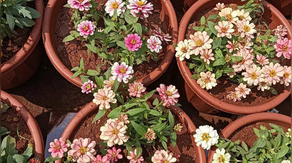 Select proper containers