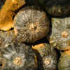 Emphasis on Seasonal Ingredients