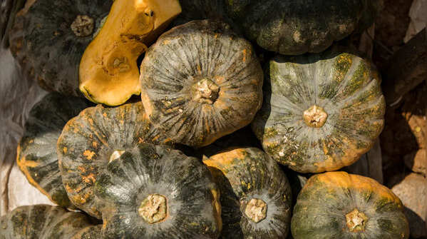 Emphasis on Seasonal Ingredients