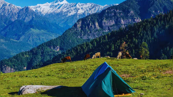 Buran Ghati Trek in Himachal Pradesh