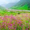 Article image for: Valley of Flowers Trek in <i class="tbold">uttarakhand</i>