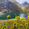 Article image for: Kashmir Great Lakes Trek in <i class="tbold">jammu and kashmir</i>