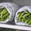 Wrap beans and peas in a damp cloth