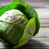 Cabbage
